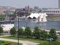 lady maryland sailing into harbor.jpg